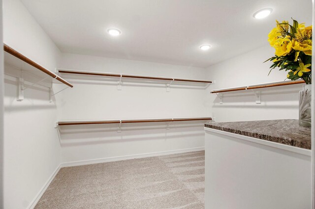 7519 Foster Creek Dr, Richmond, TX 77406 - walk in closet with light colored carpet