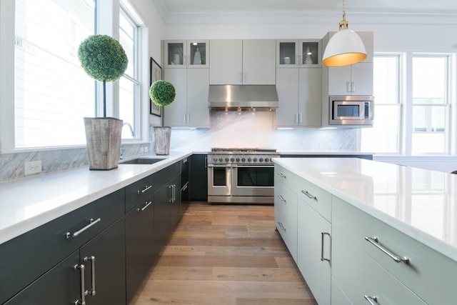 2209 Crocker St, Houston, TX 77006 - kitchen with under cabinet range hood, appliances with stainless steel finishes, ornamental molding, light countertops, and a sink