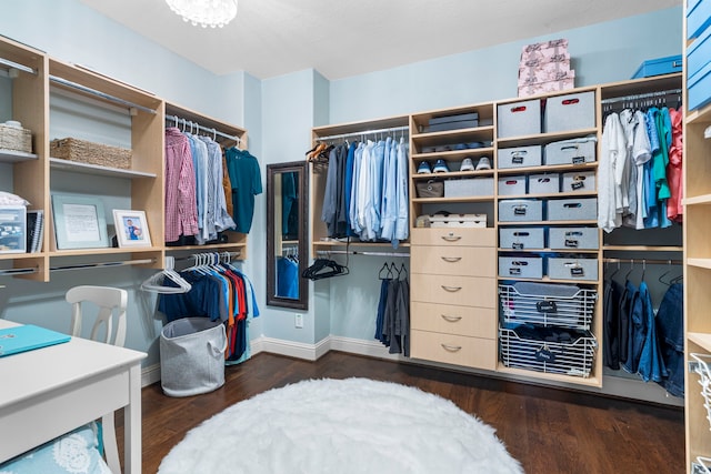 72 Tall Trl, Missouri City, TX 77459 - walk in closet with wood finished floors