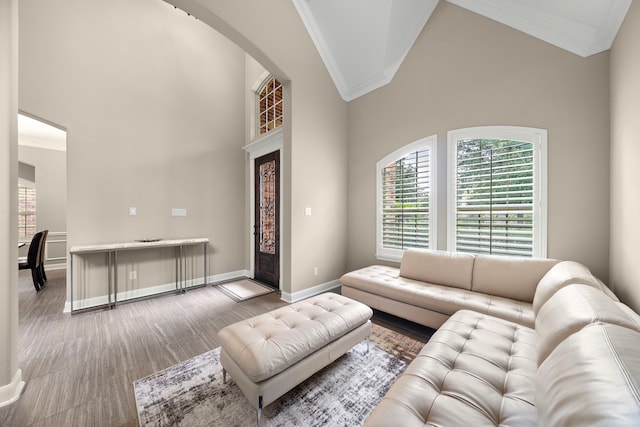 2506 Haven Hill Dr, Katy, TX 77494 - living area with ornamental molding, healthy amount of natural light, baseboards, wood finished floors, and high vaulted ceiling