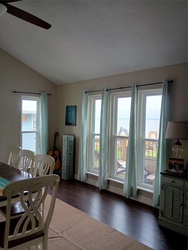 41 Lakeview Shores Dr, Coldspring, TX 77331 - dining area with dark wood-style floors, plenty of natural light, lofted ceiling, and a ceiling fan