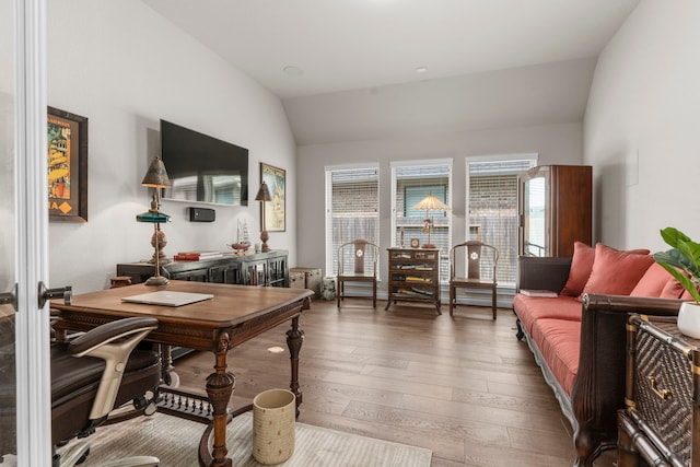 28911 Ally Lynn Way, Katy, TX 77494 - home office with lofted ceiling and hardwood / wood-style floors