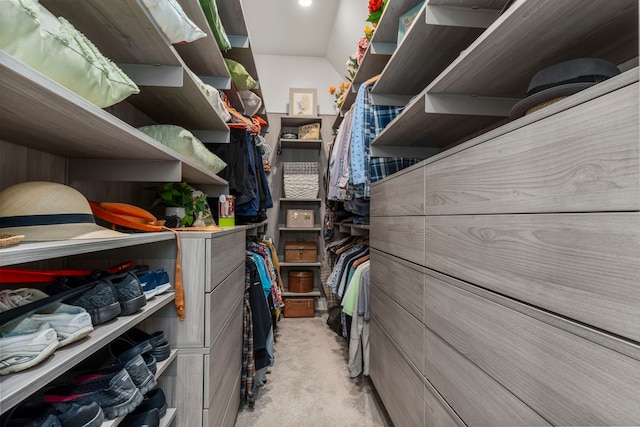 28911 Ally Lynn Way, Katy, TX 77494 - view of storage area