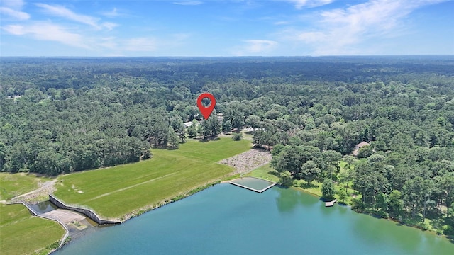 19202 Indigo Lake Dr, Magnolia, TX 77355 - bird's eye view of a forest and a nearby body of water