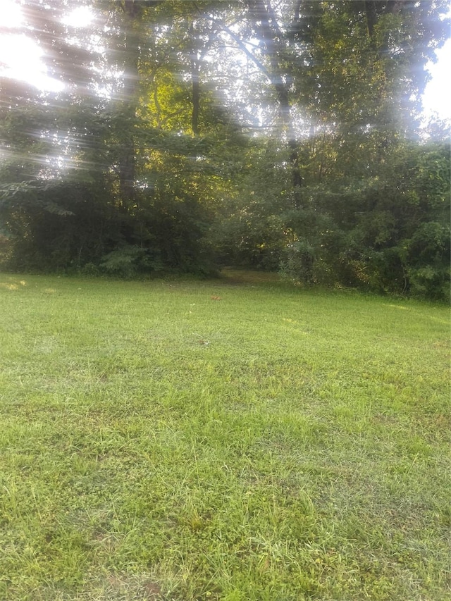205 Blue Hill Dr, Willis, TX 77356