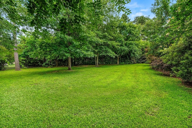 16827 Falcon Sound Dr, Montgomery, TX 77356 - view of green lawn