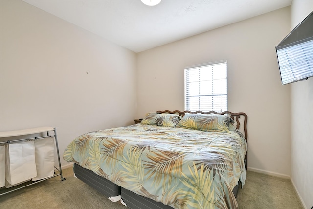 6511 Coldstream Dr, Pasadena, TX 77505 - bedroom with carpet flooring, multiple windows, and baseboards