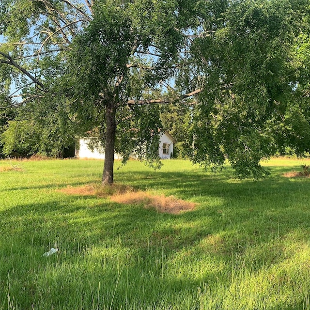 TBD Huckleberry Rd, Onalaska, TX 77360