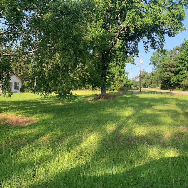 TBD Huckleberry Rd, Onalaska, TX 77360
