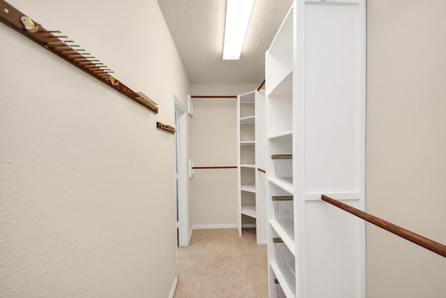 2304 Shadow Canyon Ct, Pearland, TX 77584 - spacious closet with light colored carpet