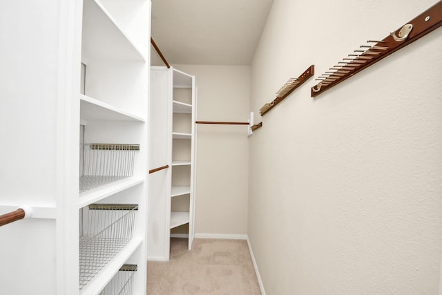 2304 Shadow Canyon Ct, Pearland, TX 77584 - walk in closet featuring light colored carpet