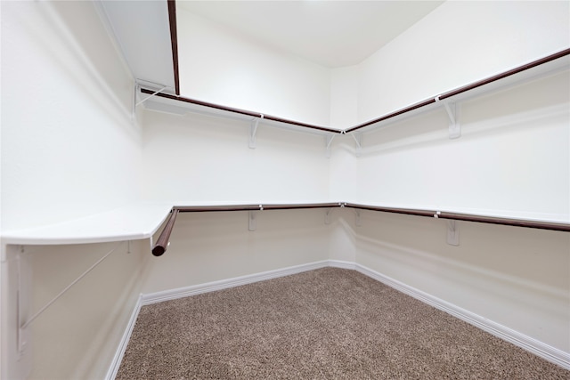 19406 Egret Haven Ln, Cypress, TX 77433 - walk in closet featuring carpet flooring