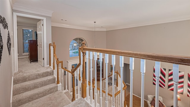 1806 Wine Cedar Ln, Katy, TX 77450 - stairs featuring baseboards, crown molding, and carpet flooring