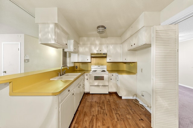 7306 Nightingale Cir, Texas City, TX 77591 - kitchen featuring white electric stove, a sink, under cabinet range hood, and white cabinets