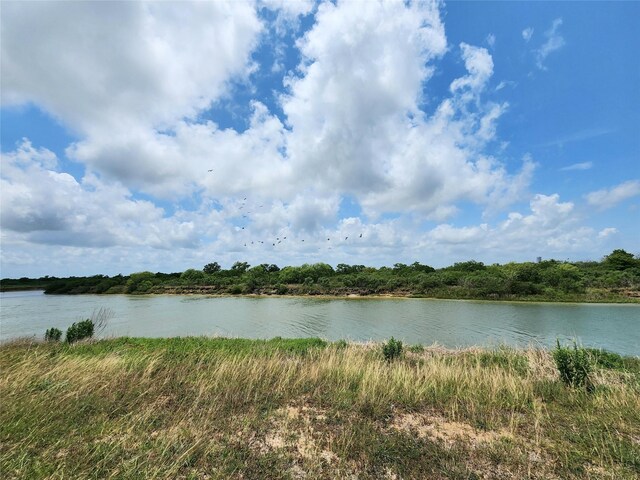 1322 Highborne Cay Ct, Texas City, TX 77590