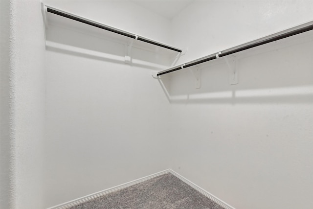 25707 Hickory Pecan Trl, Tomball, TX 77375 - walk in closet featuring carpet flooring