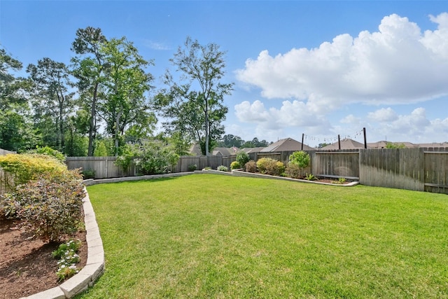 25707 Hickory Pecan Trl, Tomball, TX 77375 - view of yard