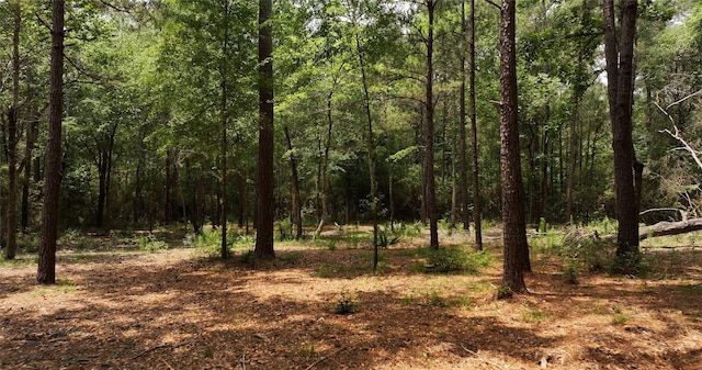 167 Winchester Rd, Huntsville, TX 77340