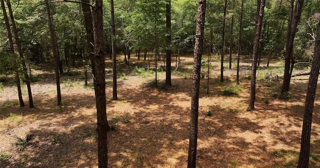 167 Winchester Rd, Huntsville, TX 77340