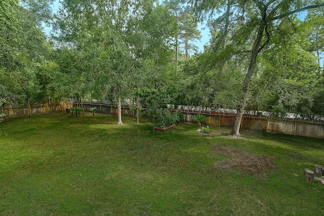 3 Meadow Beauty, The Woodlands, TX 77381 - view of yard