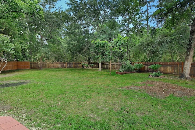 3 Meadow Beauty, The Woodlands, TX 77381 - view of yard