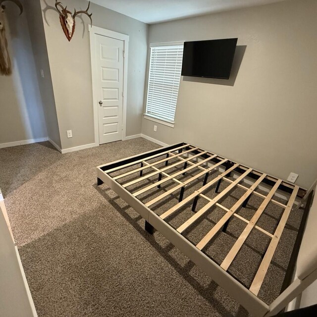 29919 Gallatin River Ln, Katy, TX 77494 - unfurnished bedroom with carpet flooring and baseboards