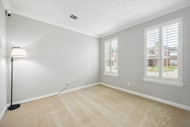 13819 Marbledale Ct, Houston, TX 77059 - spare room with ornamental molding, light carpet, baseboards, and a textured ceiling