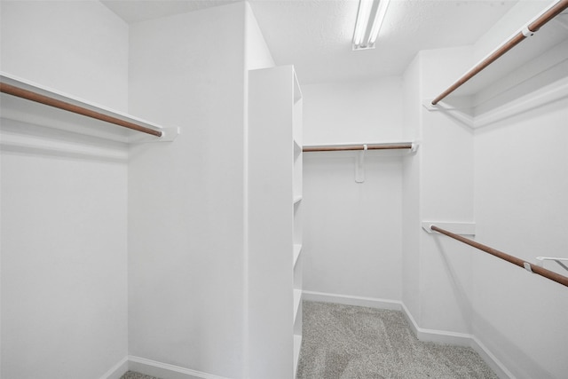 10 Fairlee Ct, The Woodlands, TX 77354 - walk in closet featuring carpet