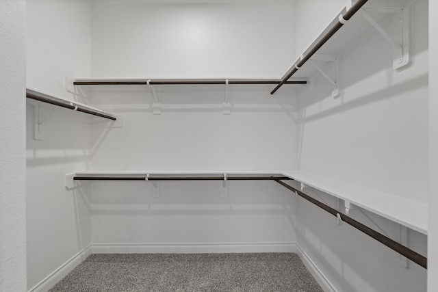 2915 Finch Ct, Katy, TX 77493 - walk in closet featuring carpet floors
