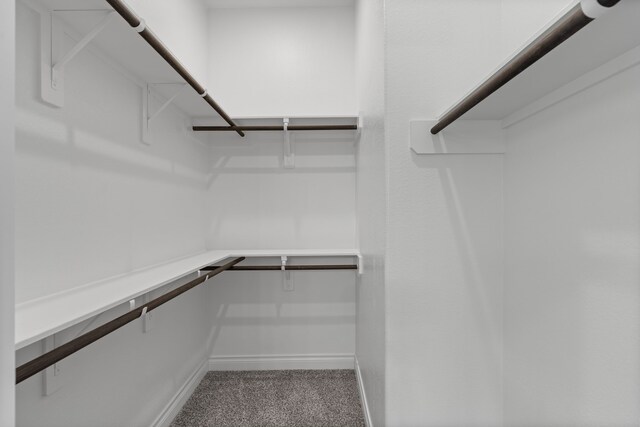 2915 Finch Ct, Katy, TX 77493 - spacious closet with carpet flooring