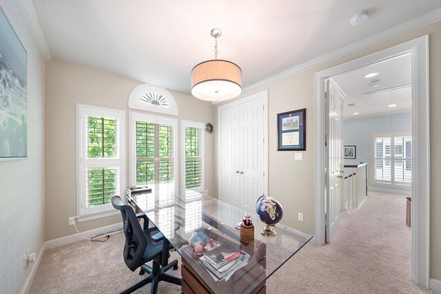 4305 Feagan St, Houston, TX 77007 - office with attic access, light colored carpet, and baseboards