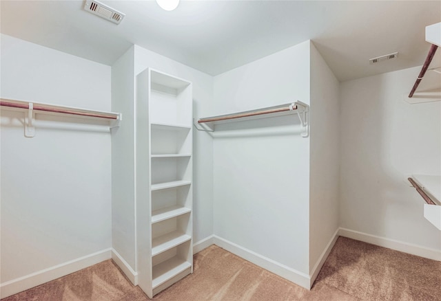 3721 Main Poplar Dr, Houston, TX 77025 - walk in closet featuring carpet floors
