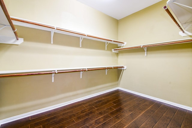 18002 Outback Lakes Trl, Humble, TX 77346 - walk in closet with dark wood finished floors