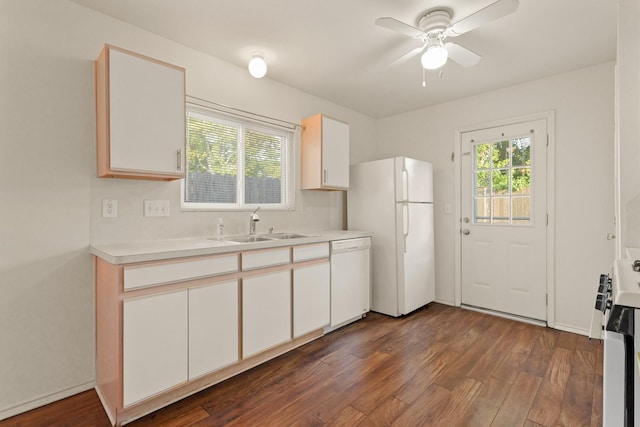 6427 Burdine Ct, Houston, TX 77085 - kitchen featuring white appliances, dark wood-style flooring, light countertops, and ceiling fan