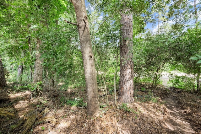 130 N Valley Oaks Cir, The Woodlands, TX 77382