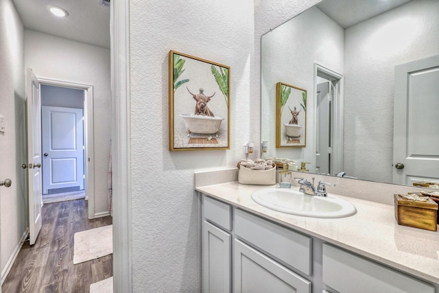 1386 Antigua Dr, Conroe, TX 77301 - bathroom with wood finished floors, vanity, and a textured wall