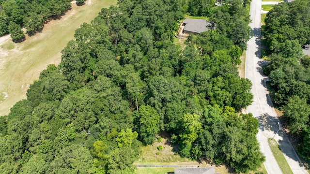 4839 W Fork Blvd, Conroe, TX 77304