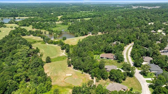 4839 W Fork Blvd, Conroe, TX 77304
