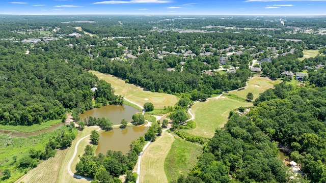 4839 W Fork Blvd, Conroe, TX 77304