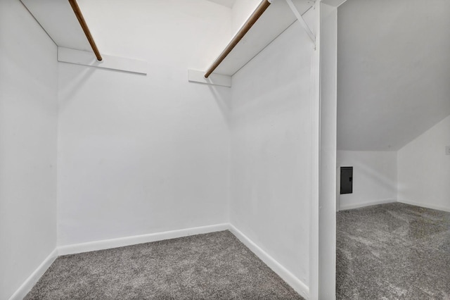 9602 Ballin David Dr, Spring, TX 77379 - walk in closet with carpet floors