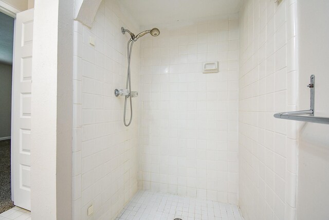 16806 Grampin Dr, Houston, TX 77084 - bathroom with tiled shower
