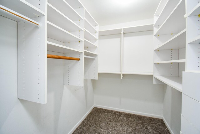 16806 Grampin Dr, Houston, TX 77084 - spacious closet with carpet floors