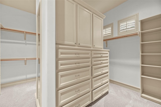 16610 Champagne Falls Ct, Spring, TX 77379 - spacious closet with carpet floors