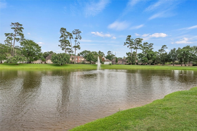 16610 Champagne Falls Ct, Spring, TX 77379 - water view