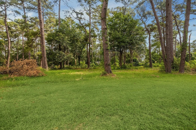 15902 Huffmeister Rd, Cypress, TX 77429 - photo 48
