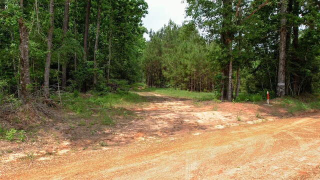 TBD Ben Nelson Rd, Livingston, TX 77351 - photo 2