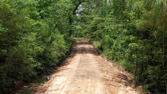 TBD Ben Nelson Rd, Livingston, TX 77351 - photo 3