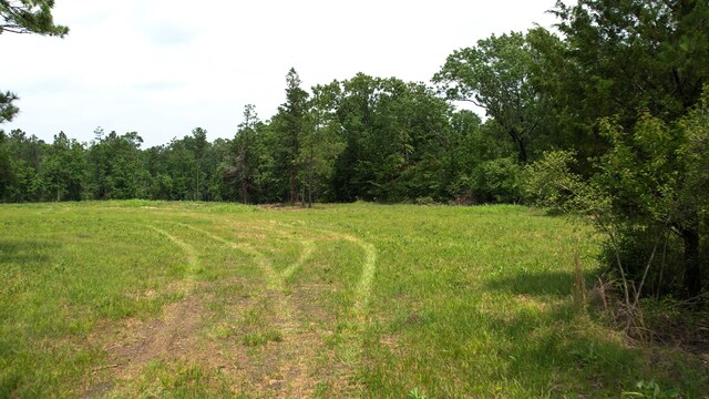 TBD Ben Nelson Rd, Livingston, TX 77351 - photo 4