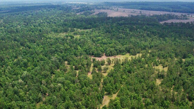TBD Ben Nelson Rd, Livingston, TX 77351 - photo 5