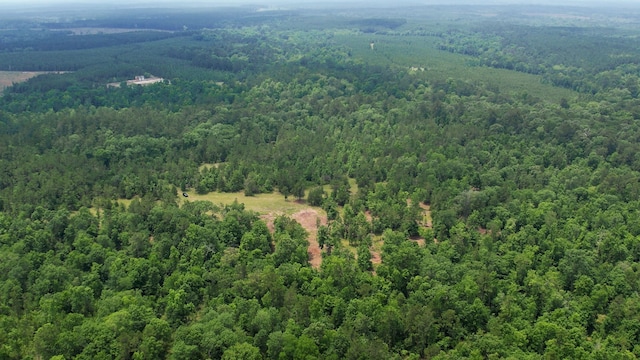 TBD Ben Nelson Rd, Livingston, TX 77351 - photo 6